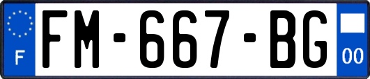 FM-667-BG