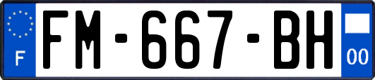 FM-667-BH