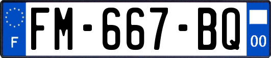 FM-667-BQ