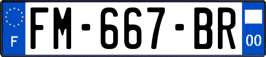 FM-667-BR