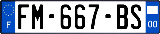 FM-667-BS