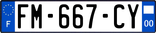 FM-667-CY
