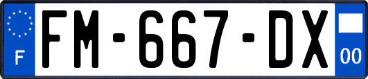 FM-667-DX