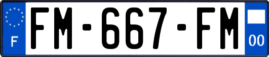 FM-667-FM