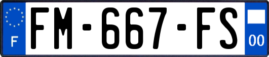 FM-667-FS