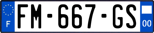 FM-667-GS