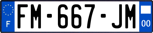 FM-667-JM