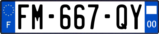 FM-667-QY