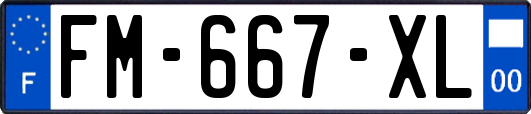 FM-667-XL
