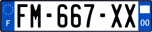 FM-667-XX