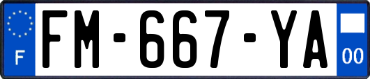 FM-667-YA