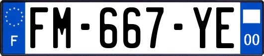FM-667-YE