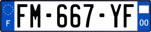FM-667-YF