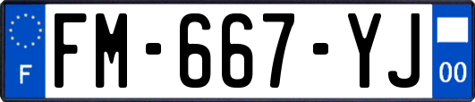 FM-667-YJ