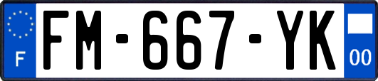 FM-667-YK