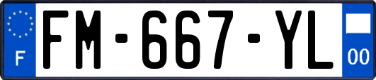 FM-667-YL