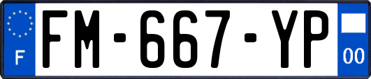 FM-667-YP