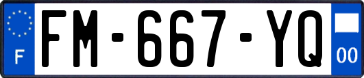 FM-667-YQ