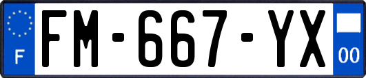 FM-667-YX