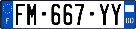 FM-667-YY