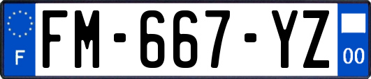 FM-667-YZ