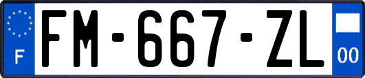 FM-667-ZL