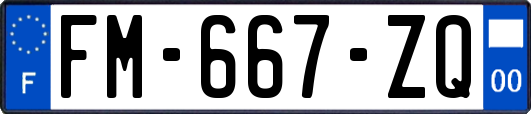 FM-667-ZQ