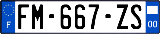 FM-667-ZS