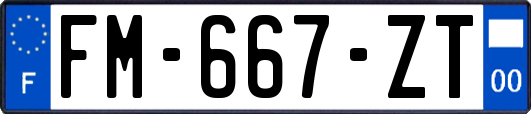 FM-667-ZT