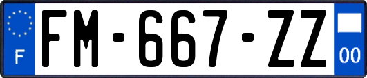 FM-667-ZZ