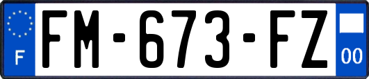 FM-673-FZ