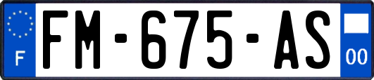 FM-675-AS