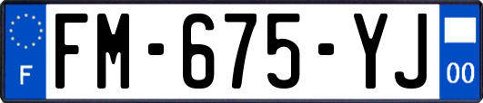 FM-675-YJ