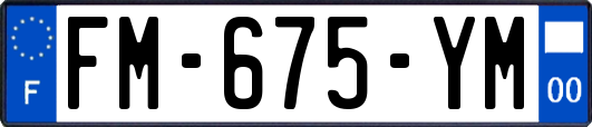 FM-675-YM