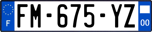 FM-675-YZ