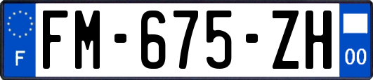 FM-675-ZH