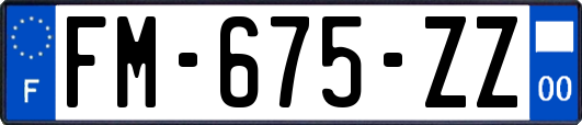 FM-675-ZZ
