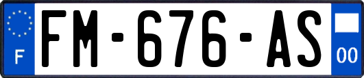 FM-676-AS