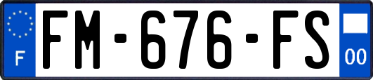 FM-676-FS