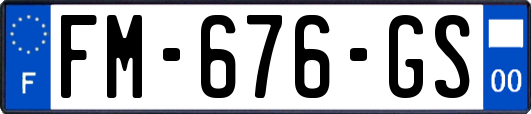 FM-676-GS