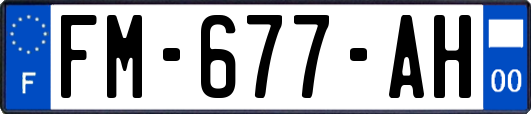 FM-677-AH