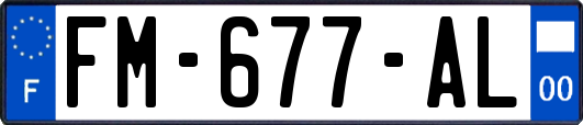FM-677-AL