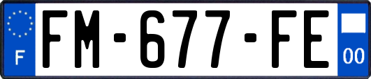 FM-677-FE