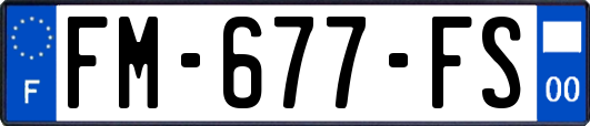 FM-677-FS