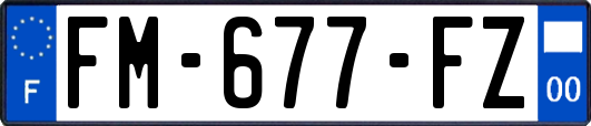 FM-677-FZ