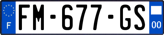 FM-677-GS