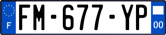 FM-677-YP