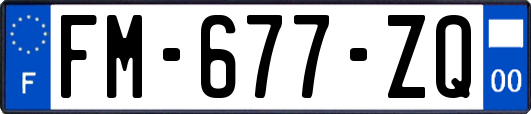 FM-677-ZQ