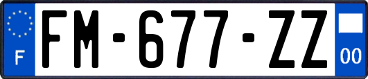 FM-677-ZZ