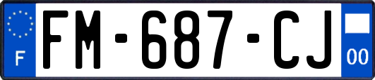 FM-687-CJ